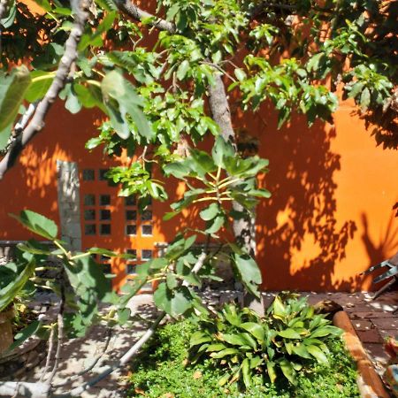 Ex Hacienda Apartment Guanajuato Exterior foto
